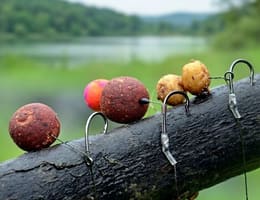 Cârlige de pescuit la crap: Cum alegi cârligul perfect pentru monturi